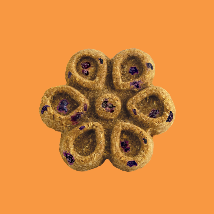 Fruitables Biggies Crispy Pumpkin & Blueberry 16oz