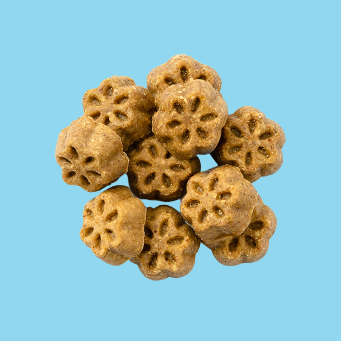 Fruitables Skinny Minis Grilled Bison 5oz