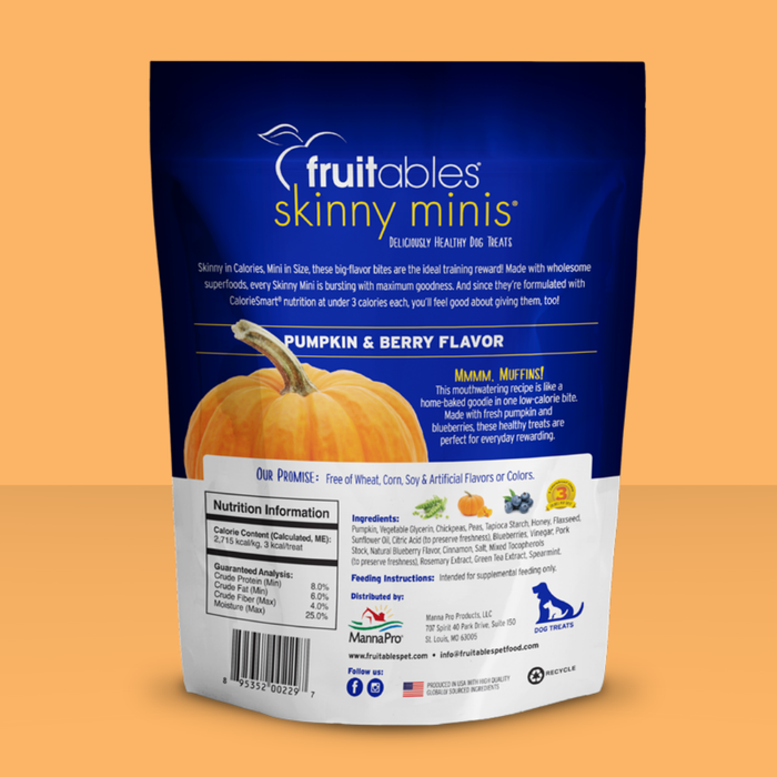 Fruitables Skinny Minis Pumpkin Blueberry 5oz