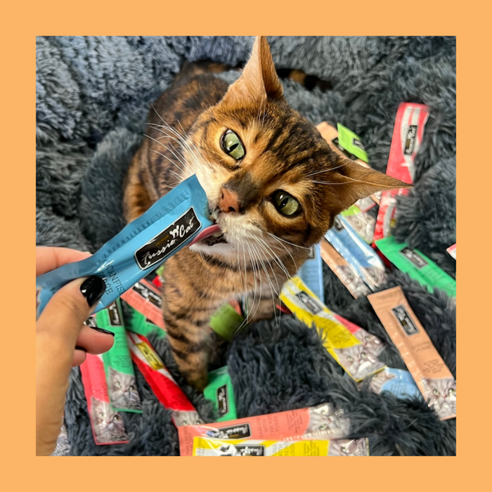 Fussie Cat Puree Treat Variety Pack Tuna 5 Flavors 50 Pack