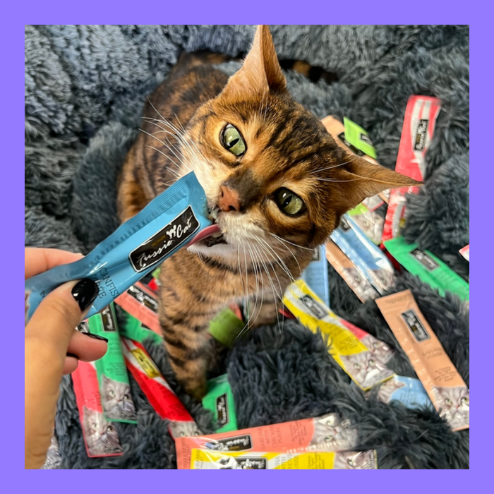 Fussie Cat Puree Treat Variety Pack Tuna & Chicken 10 Flavors 50 Pack