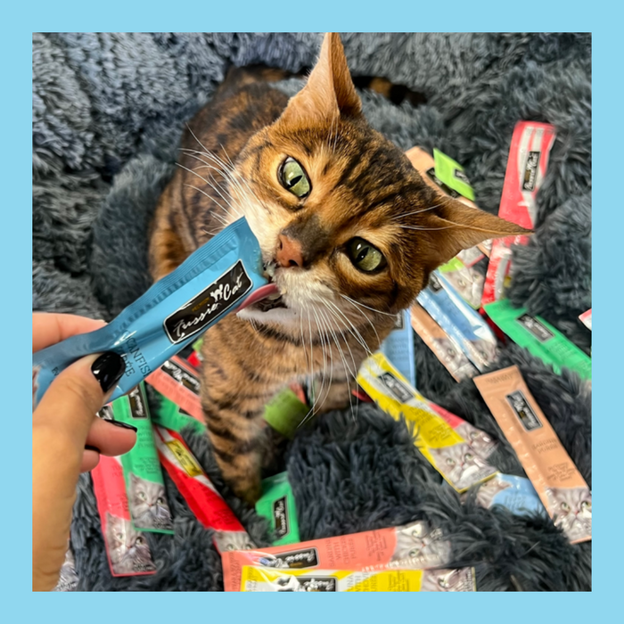 Fussie Cat Puree Treat Variety Pack Tuna & Chicken 5 Flavors 50 Pack
