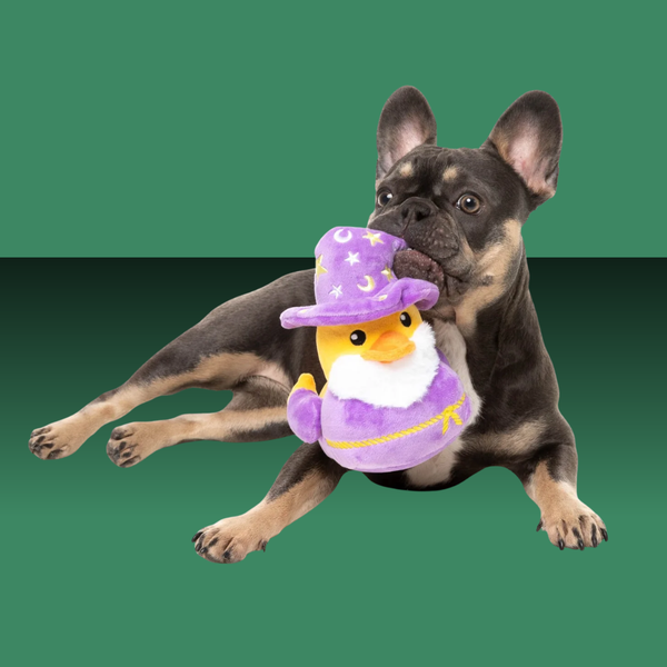 Fuzzyard Duck Sirius Quack L