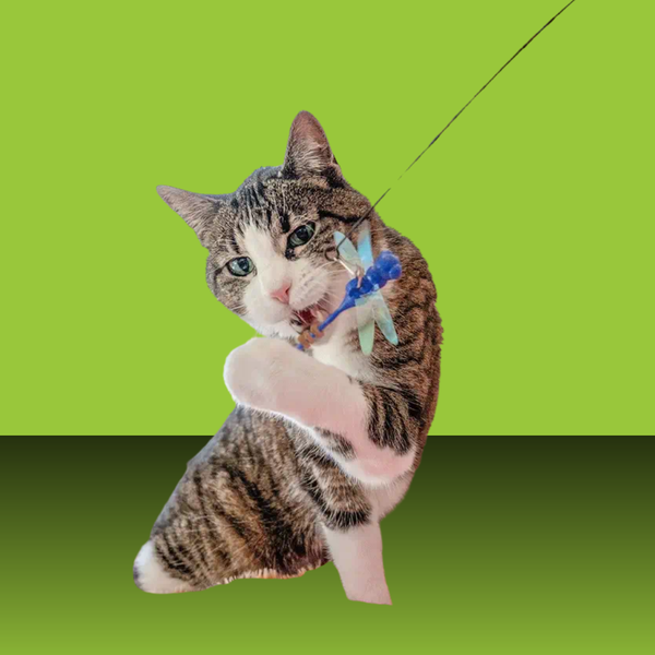 Giddy Kitty Cat Treat Toy Dragonfly Wand Set