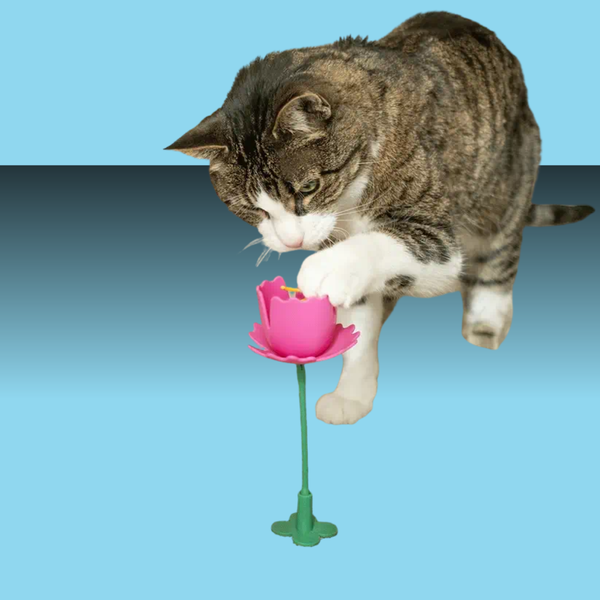 Giddy Kitty Cat Treat Toy Springy Flower Playful Poppy Pink