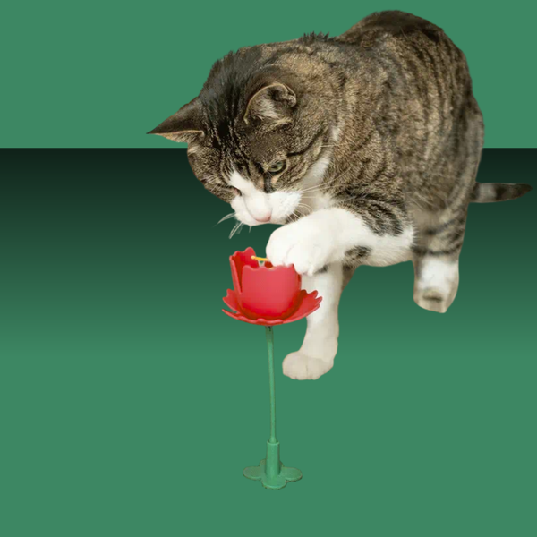 Giddy Kitty Cat Treat Toy Springy Flower Playful Poppy Red