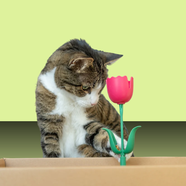 Giddy Kitty Cat Treat Toy Springy Flower Twirly Tulip Pink