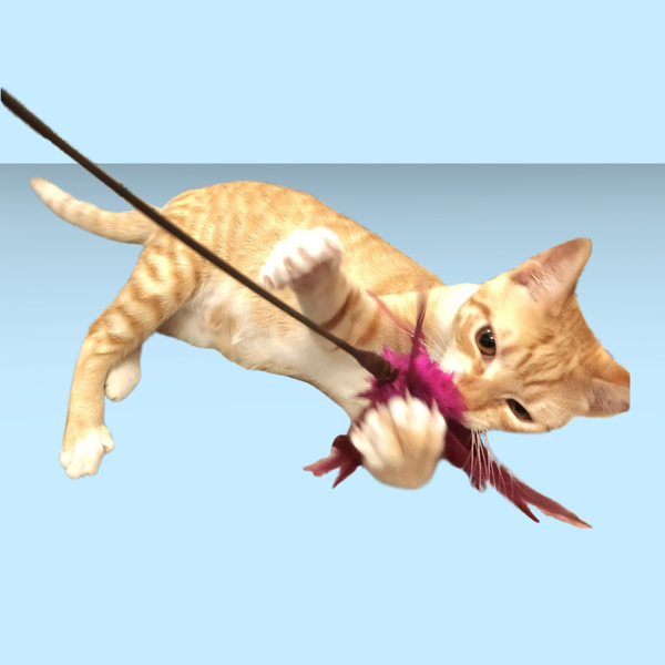 Go Cat Kitty Duster