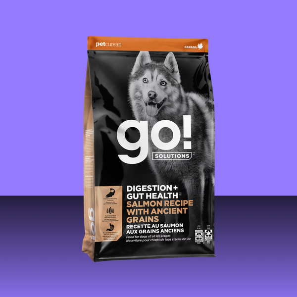 Go! Dog Digestion + Gut Health Salmon with Ancient Grains 22#