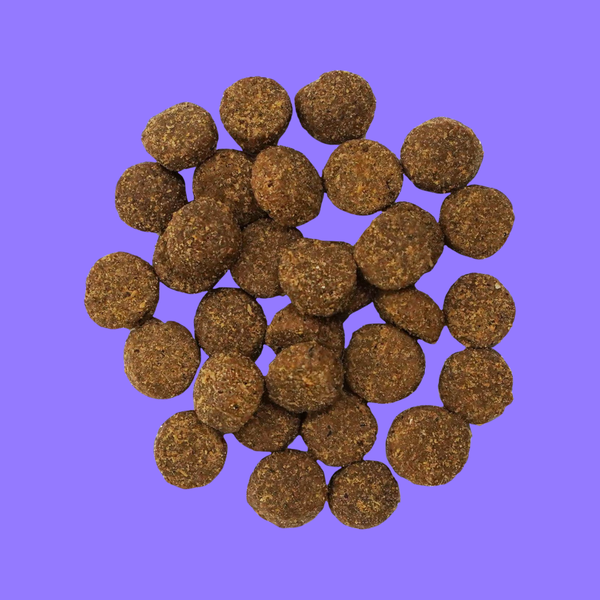 Go! Dog Digestion + Gut Health Salmon with Ancient Grains 22#