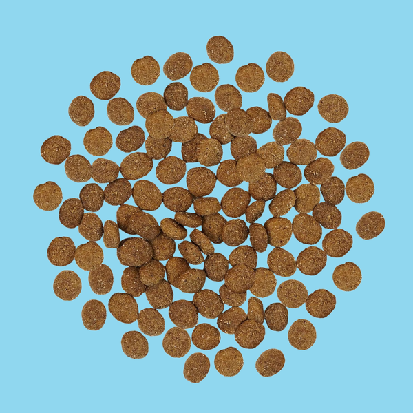 Go! Dog Sensitivities LID Turkey 3.5#
