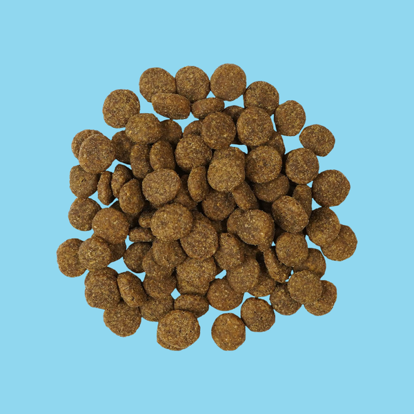Go! Dog Solutions Weight Management + Joint Care GF Salmon 22#