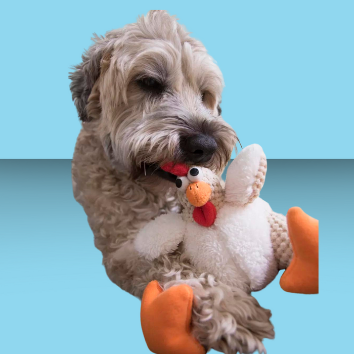 goDog Checkers Fat Rooster L