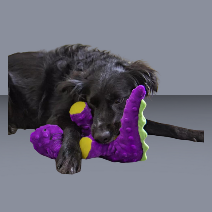 goDog Dinosaur Bruto Purple L