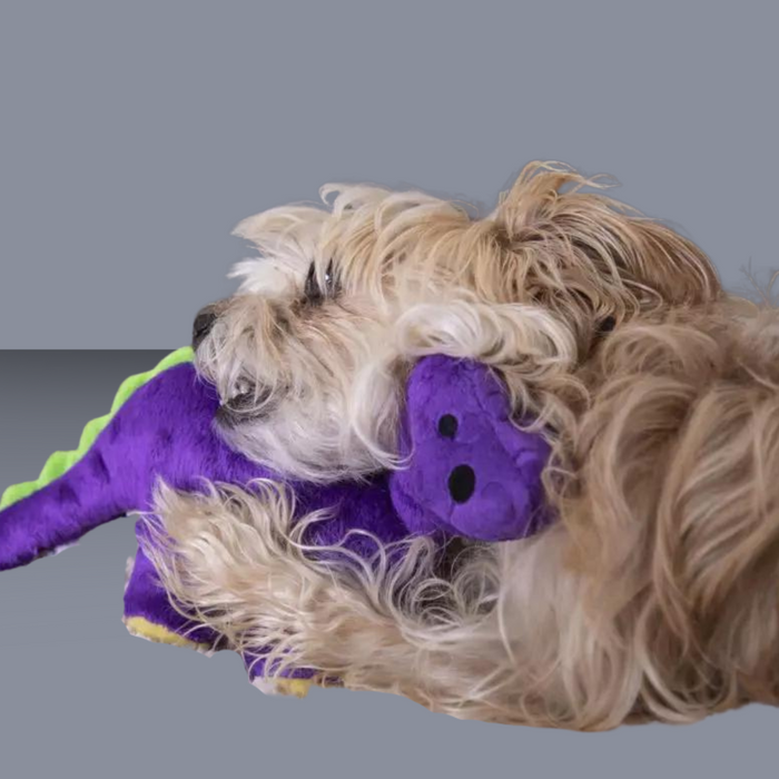 goDog Dinosaur Bruto Purple L