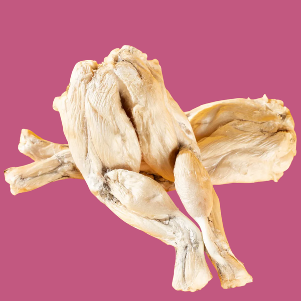 Golden Nibbles FD Frog Legs 4 Pack