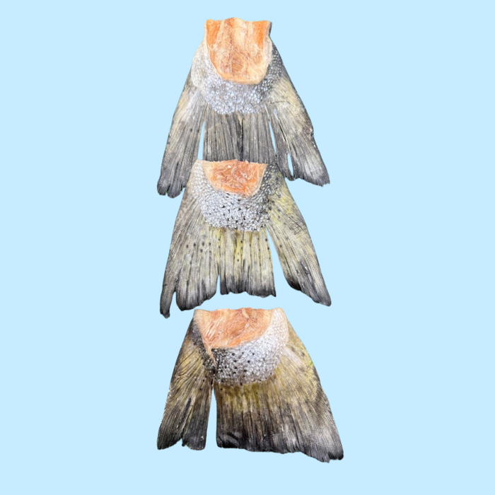 Golden Nibbles FD Salmon Tails 5 Pack