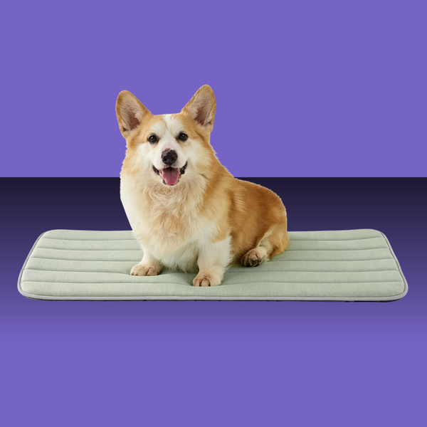 Goopaws Cooling Mat Green 30x20"