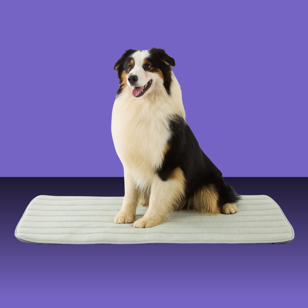 Goopaws Cooling Mat Green 41x27"