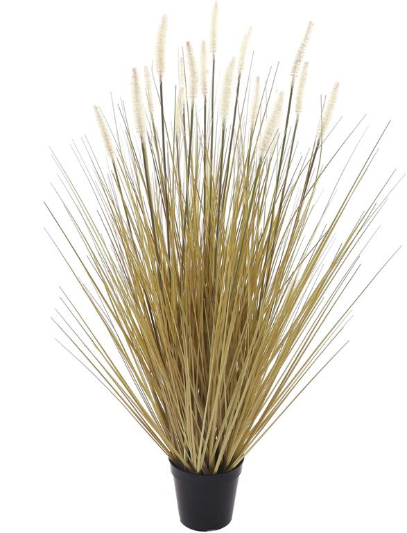 Grass & Cattail in Pot