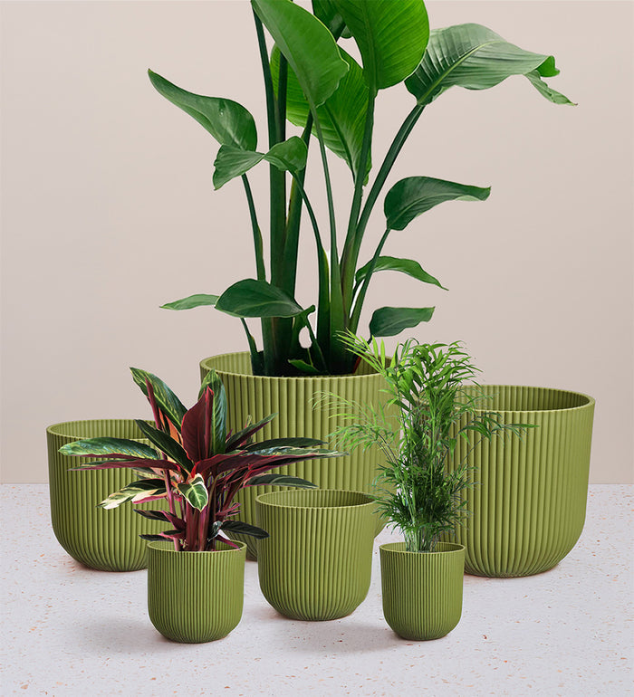 Green Elho Vibes Pot (14cm)