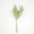Green Eucalyptus Bush