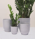 Grey Ares Pot