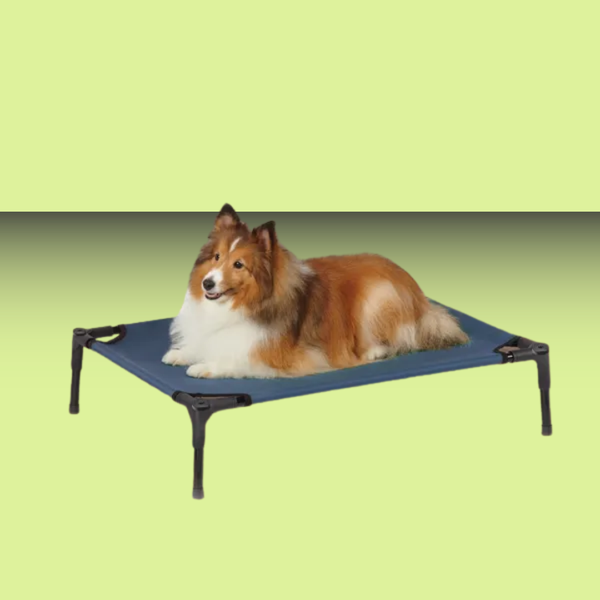 Guardian Gear Pet Cot XL