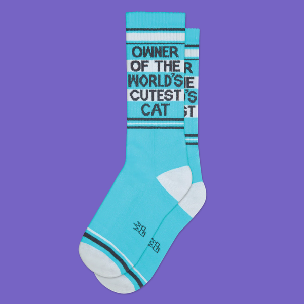 Gumball Poodle Socks Owner of the World's Cutest Cat