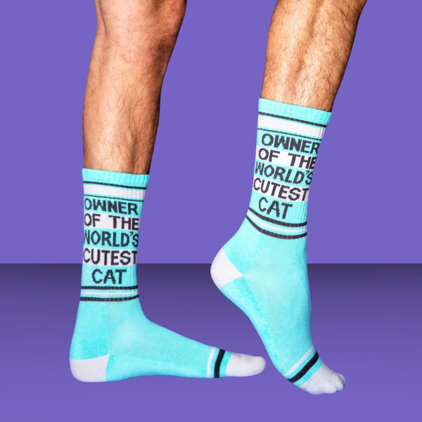 Gumball Poodle Socks Owner of the World's Cutest Cat