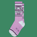 Gumball Poodle Socks Owner of the World's Cutest Dog