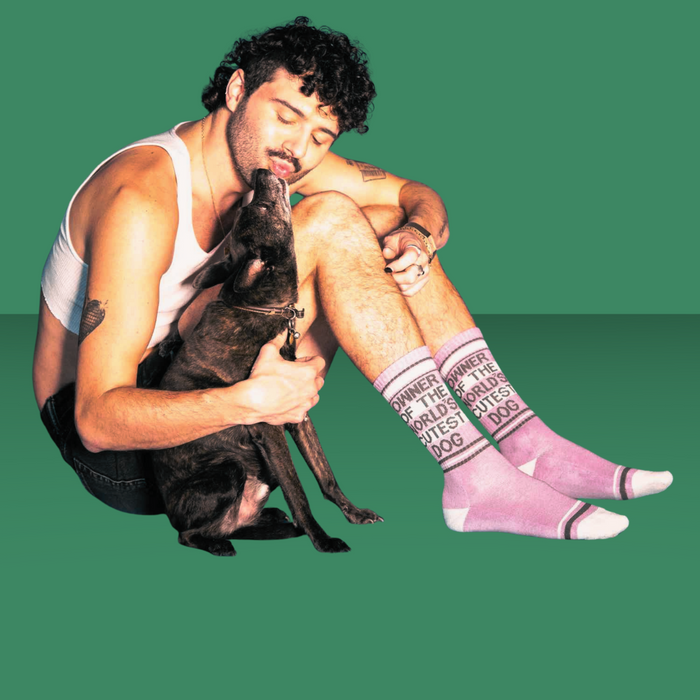 Gumball Poodle Socks Owner of the World's Cutest Dog