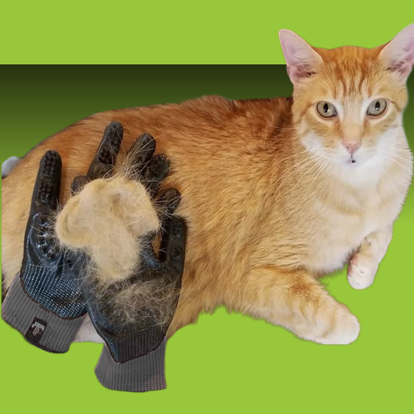 Hands On Grooming Gloves M