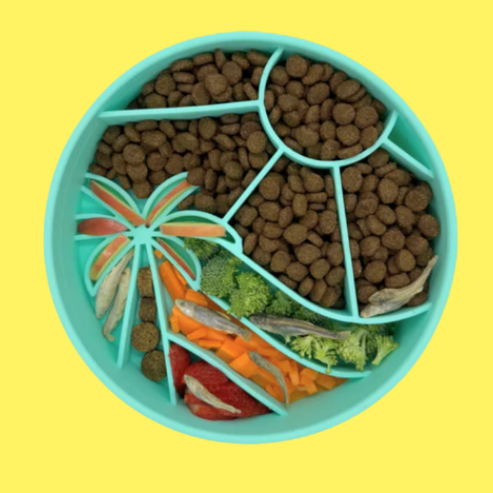 Happy Dingos Loco Coco Interactive Slow Feeder