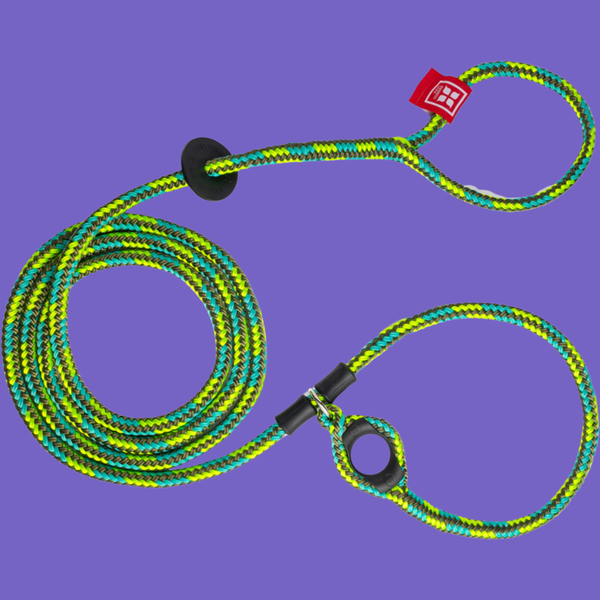 Harness Lead Rainforest S/M