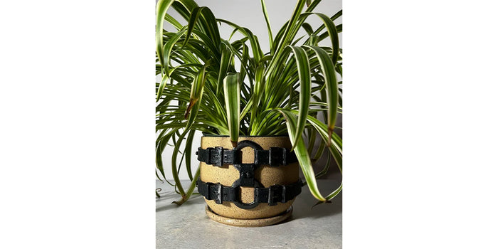 Harness Planter
