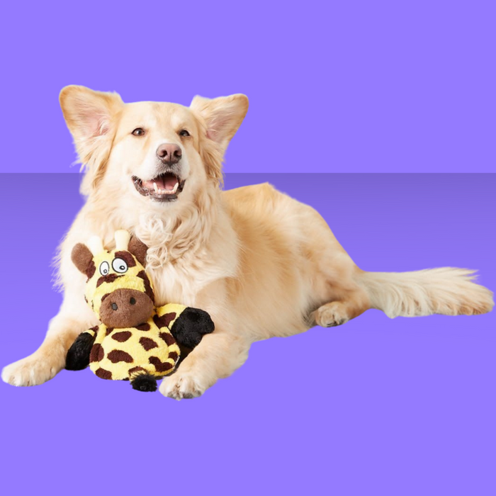 Hear Doggy Flattie Giraffe