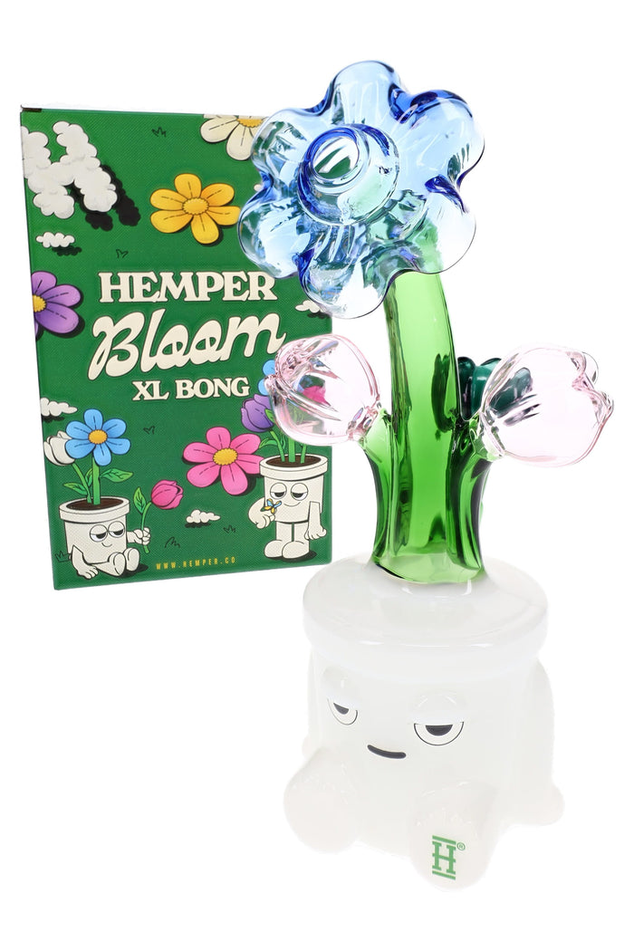 Hemper Bloom XL bong with green retail box, blue flower top and pink bud accents on a white character base