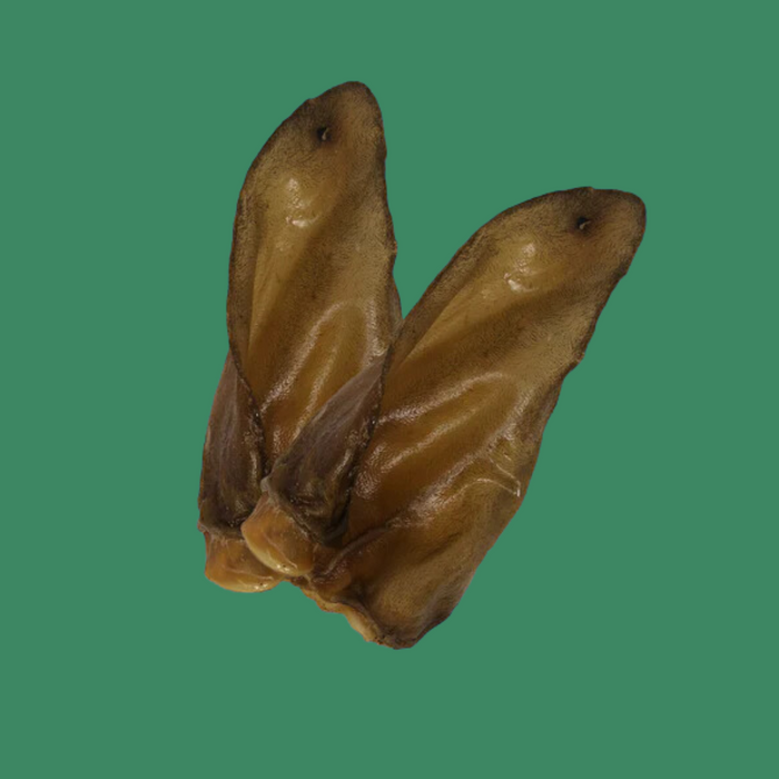 Honey I'm Home Buffalo Ear 10 Pack