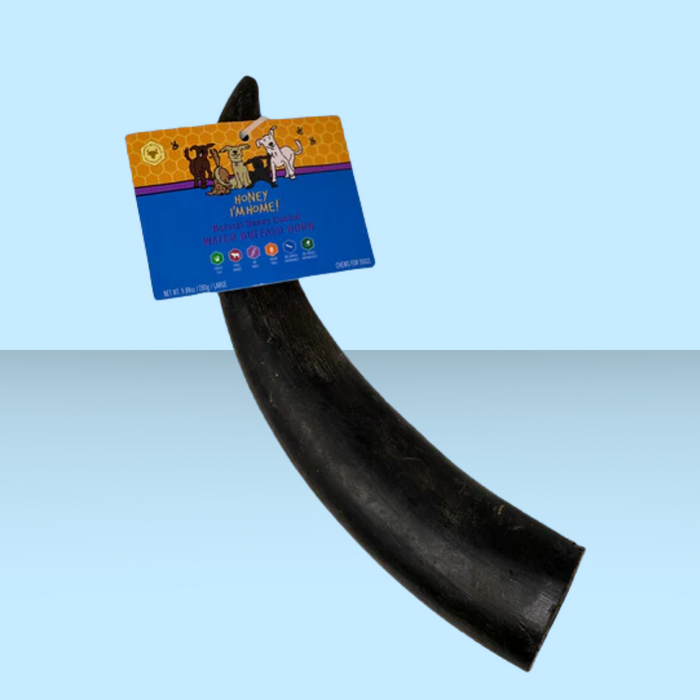 Honey I'm Home Buffalo Horn L