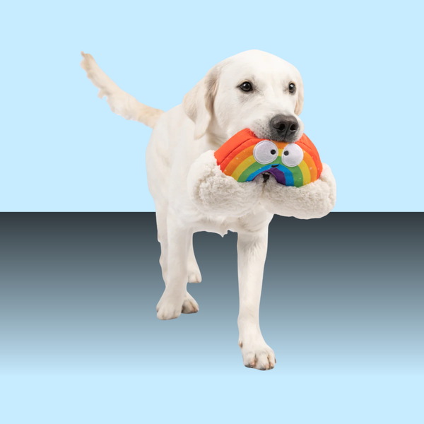 Huxley & Kent Happy Rainbow L