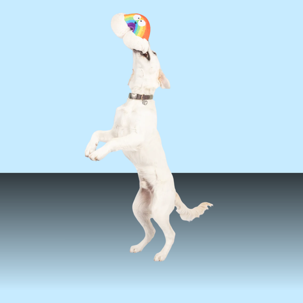 Huxley & Kent Happy Rainbow L
