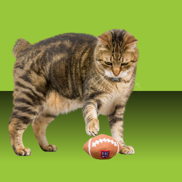 Huxley & Kent Kittybelles Football