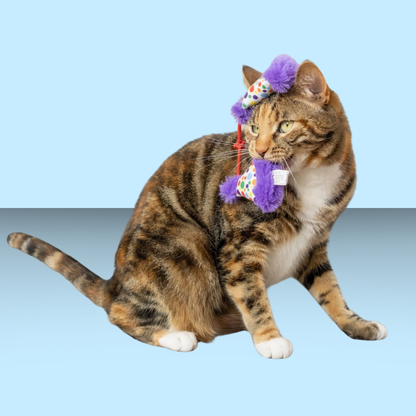 Huxley & Kent Kittybelles Party Hats