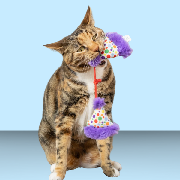 Huxley & Kent Kittybelles Party Hats