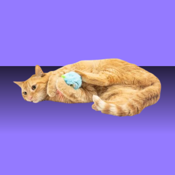 Huxley & Kent Monster Furr Ball