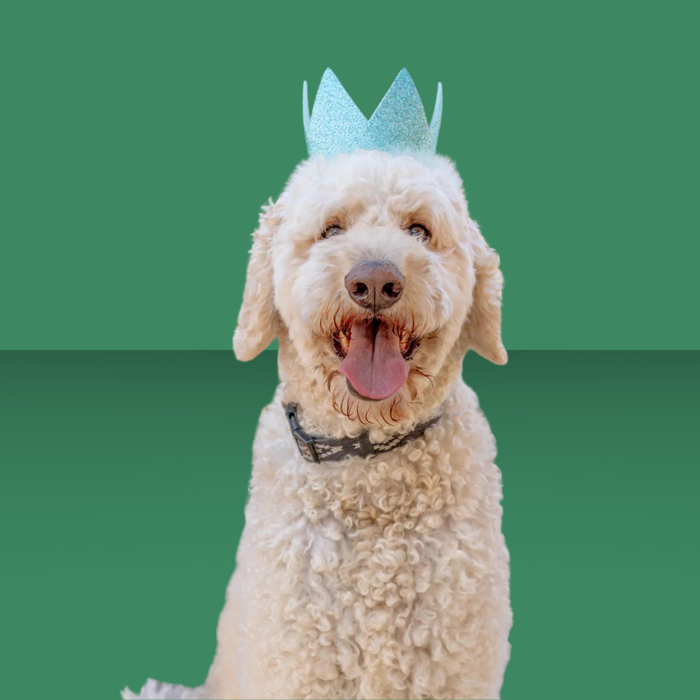 Huxley & Kent Party Crown Blue L