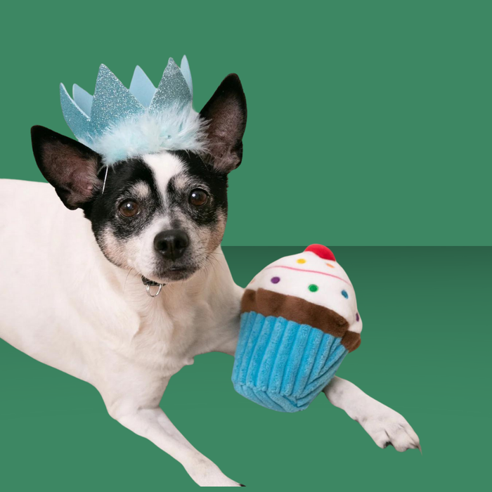 Huxley & Kent Party Crown Blue S