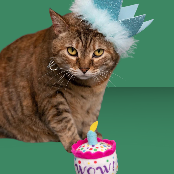 Huxley & Kent Party Crown Blue S