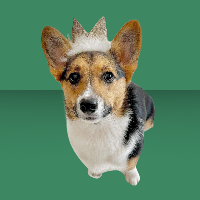 Huxley & Kent Party Crown Gold L